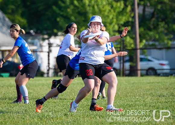 2023 USA Ulitmate Division III College Championships ©