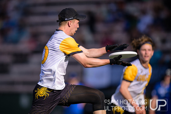 Coverage from Oakland Spiders at Seattle Cascades