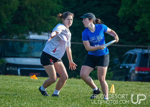 2023 USA Ulitmate Division III College Championships ©