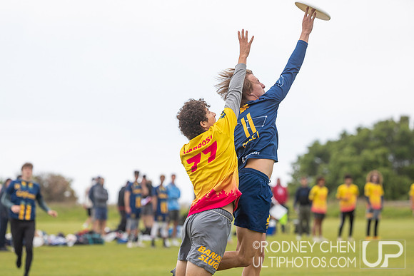 2023 USA Ultimate D1 NorCal Conference Championships