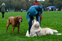 WAFC Fall Fling 2026 Saturday