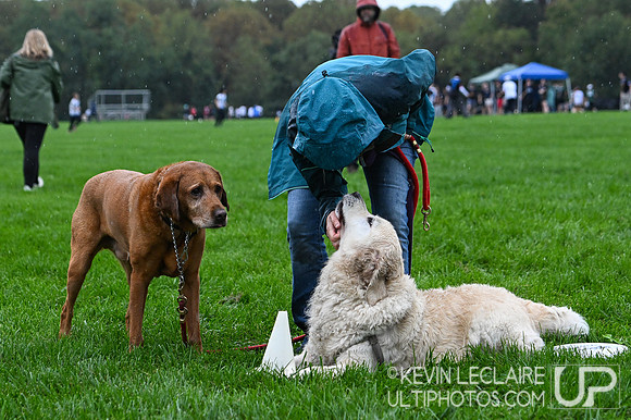 WAFC Fall Fling 2026 Saturday