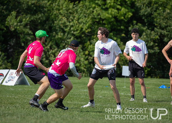 2023 USA Ulitmate Division III College Championships ©