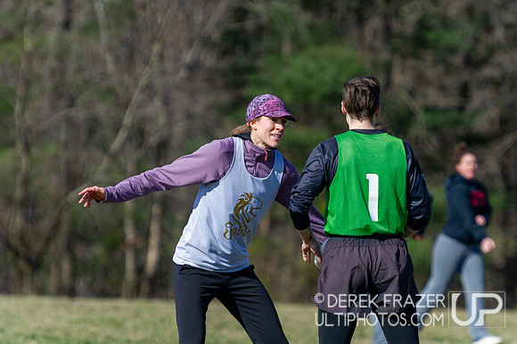 Shamrock Sync Up Action