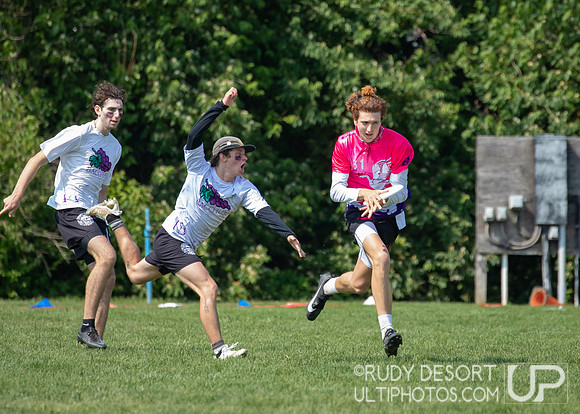 2023 USA Ulitmate Division III College Championships ©