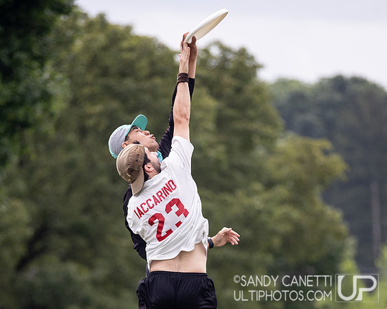 LVU's Disc Days of Summer