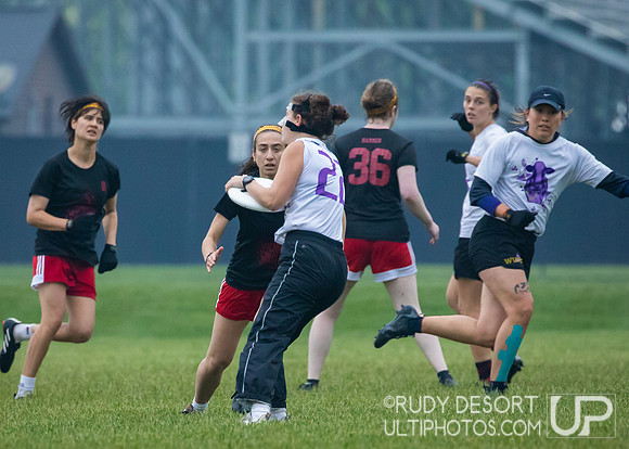 2023 USA Ulitmate Division III College Championships ©