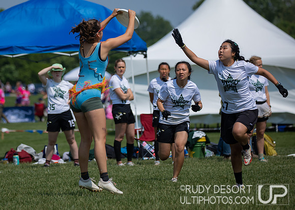 2023 USA Ulitmate Division III College Championships ©