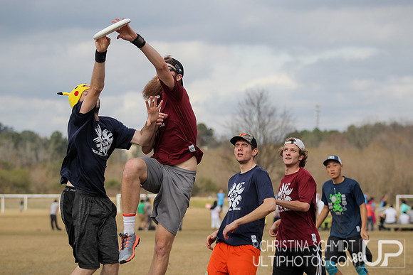 12 Days of Christmas -- 2015