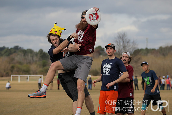 12 Days of Christmas -- 2015