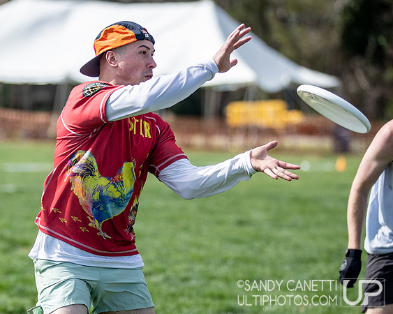 Fools Fest 2023 - Sunday