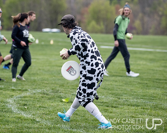 Fools Fest 2023 - Friday Action