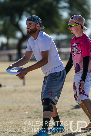 HOASIS 2015