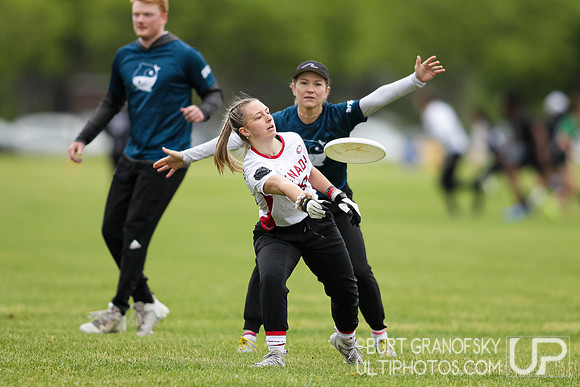 BUDA Mixed Easterns, June 3, 2023