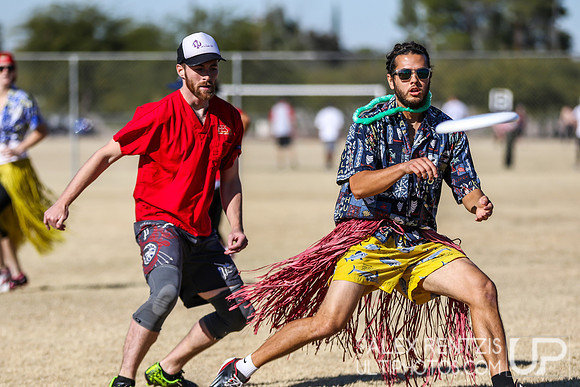 HOASIS 2015