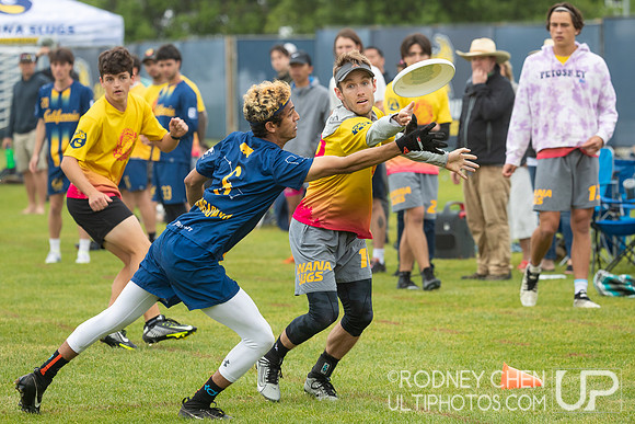 2023 USA Ultimate D1 NorCal Conference Championships