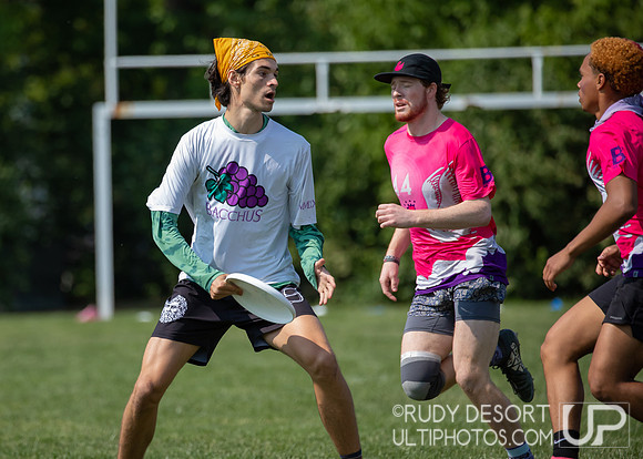 2023 USA Ulitmate Division III College Championships ©