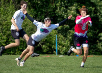 2023 USA Ulitmate Division III College Championships ©