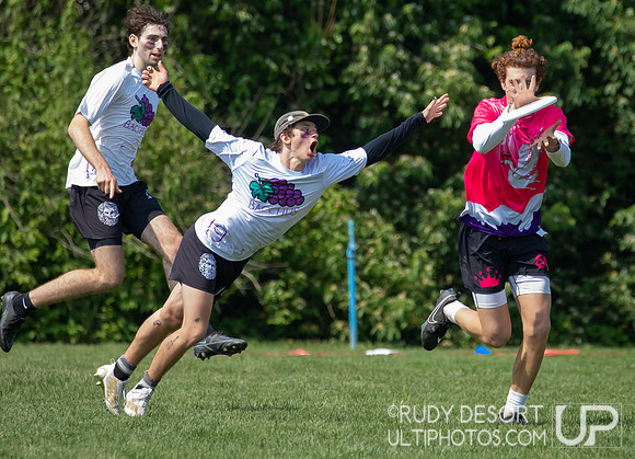 2023 USA Ulitmate Division III College Championships ©