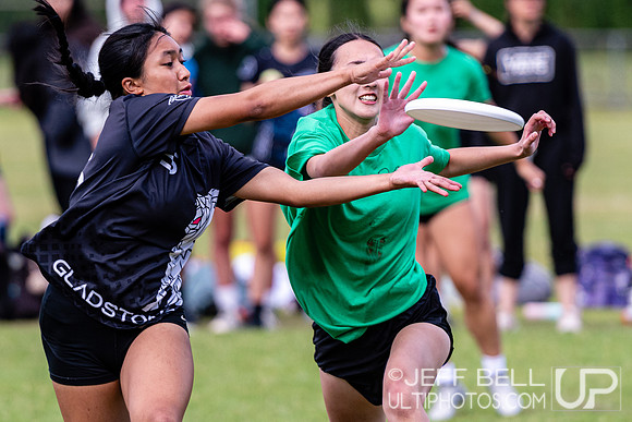 Vancouver Ultimate League Misfit Cup
