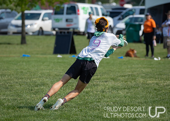 2023 USA Ulitmate Division III College Championships ©
