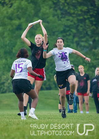2023 USA Ulitmate Division III College Championships ©