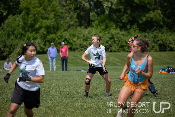 2023 USA Ulitmate Division III College Championships ©