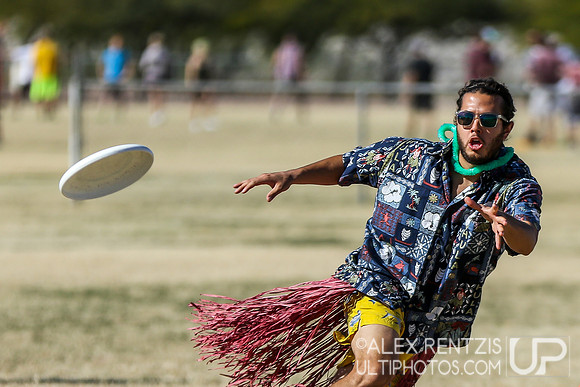 HOASIS 2015