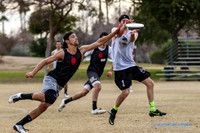 2016 WUGC USAU Phoenix, Arizona