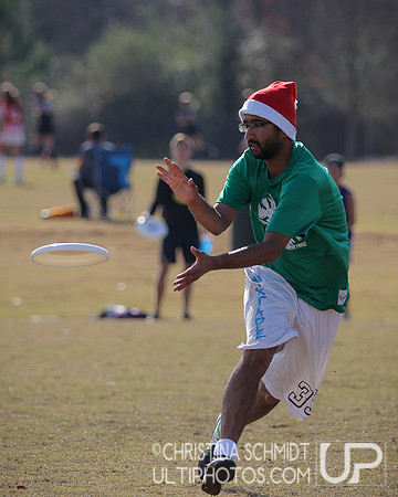 12 Days of Christmas -- 2015