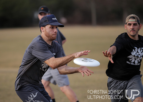 12 Days of Christmas -- 2015