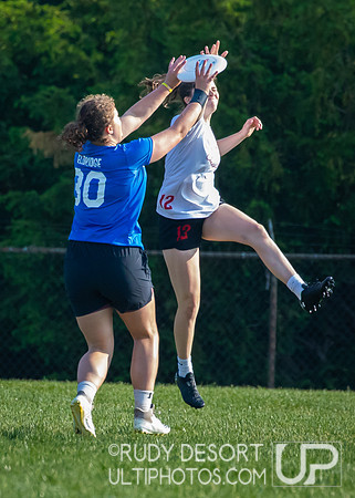 2023 USA Ulitmate Division III College Championships ©