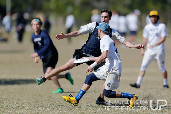 Day 3 of Warm up: A Florida Affair 2016