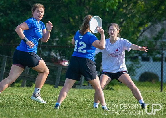 2023 USA Ulitmate Division III College Championships ©