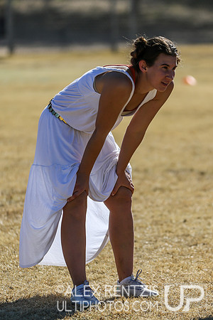 HOASIS 2015