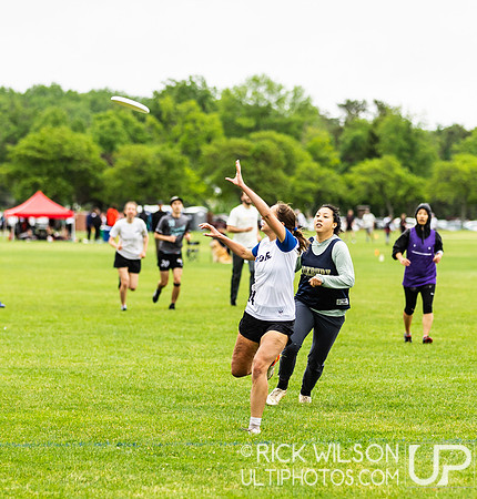 Mixed Easterns 2023