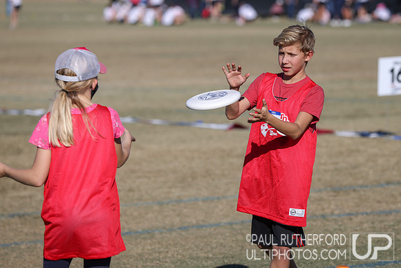 2021 USA Ultimate Division I College Championships