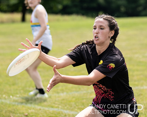 LVU's Disc Days of Summer