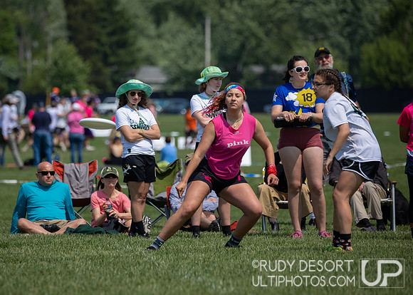 2023 USA Ulitmate Division III College Championships ©