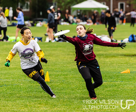 Mixed Easterns 2023