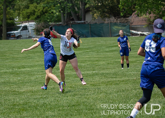 2023 USA Ulitmate Division III College Championships ©