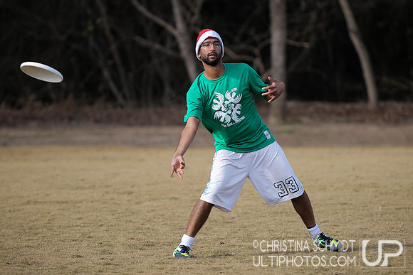 12 Days of Christmas -- 2015