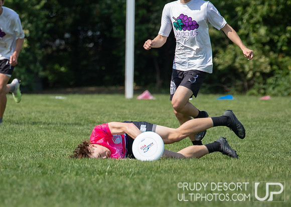 2023 USA Ulitmate Division III College Championships ©