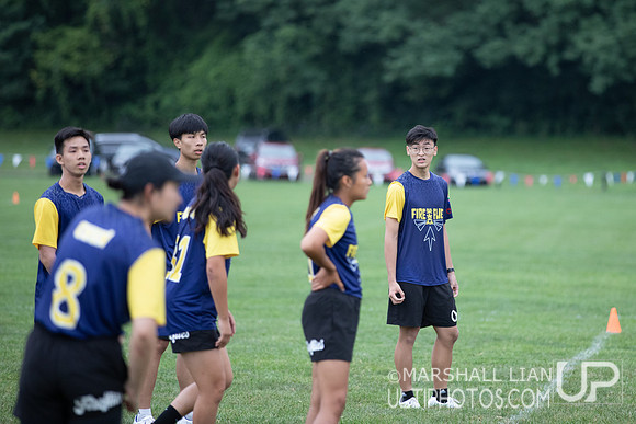 Fireflies vs IKU