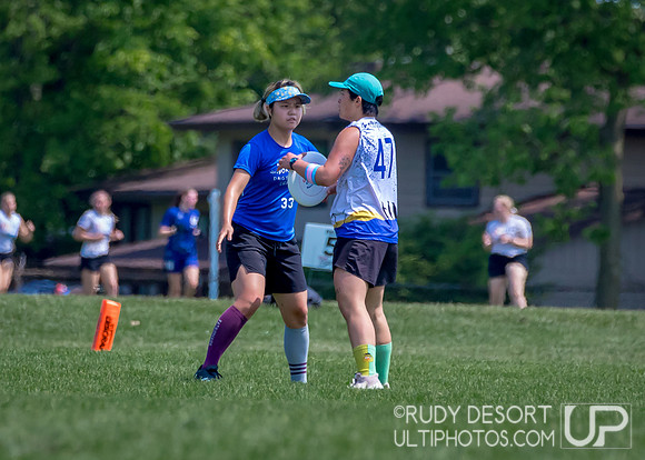 2023 USA Ulitmate Division III College Championships ©