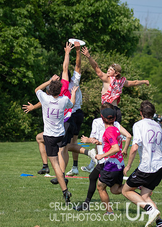 2023 USA Ulitmate Division III College Championships ©