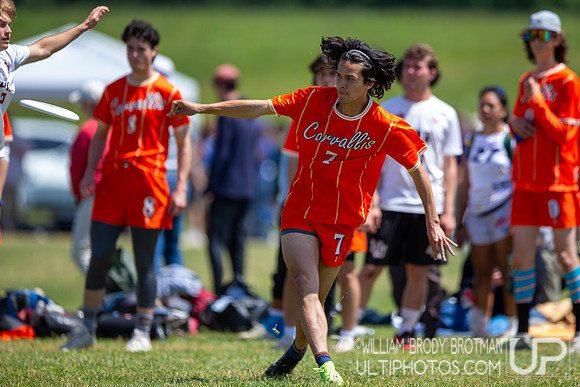 Day 2 of the USA Ultimate D-I College Championships