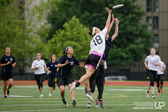 Boston Area Women's All-Star Game