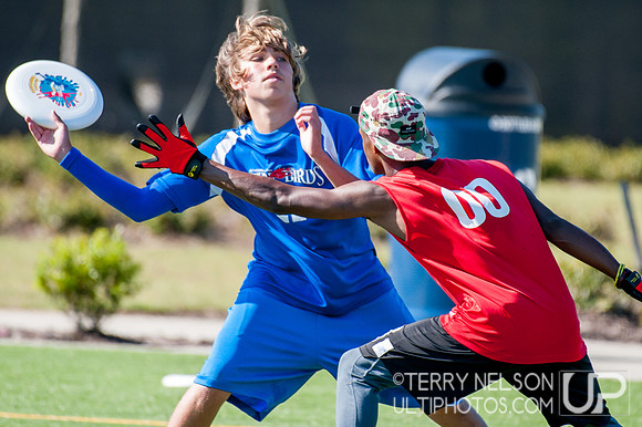 Georgia High School Ultimate State Championship