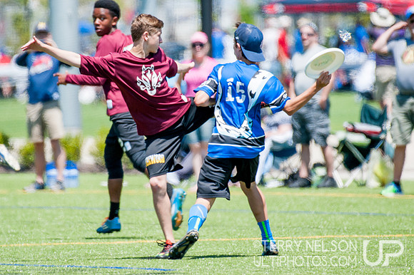 Georgia High School Ultimate State Championship